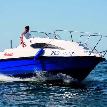 Катер "ЛЕСЬКА" 